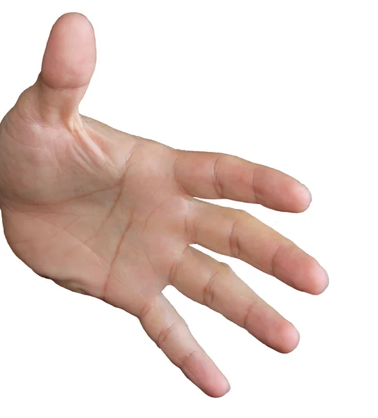 Mâinile — Fotografie, imagine de stoc