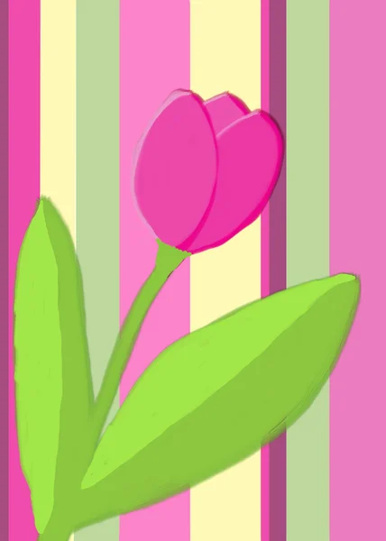 Tulip on a striped background — Stock Photo, Image