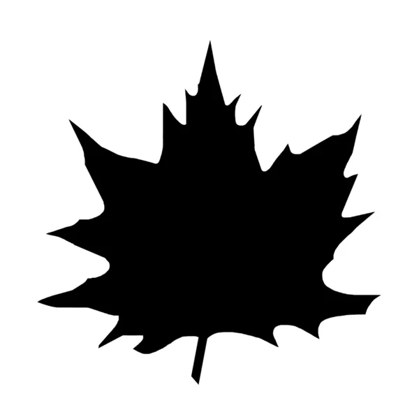 Contour tekening van een maple leaf. — Stockfoto