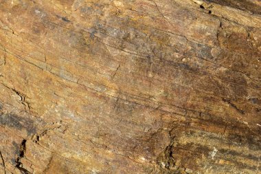 Granit doku yakın çekim.