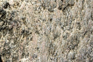 Granit doku yakın çekim.