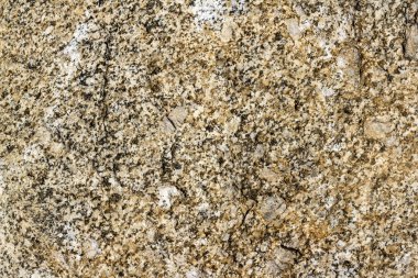 Granit doku yakın çekim.