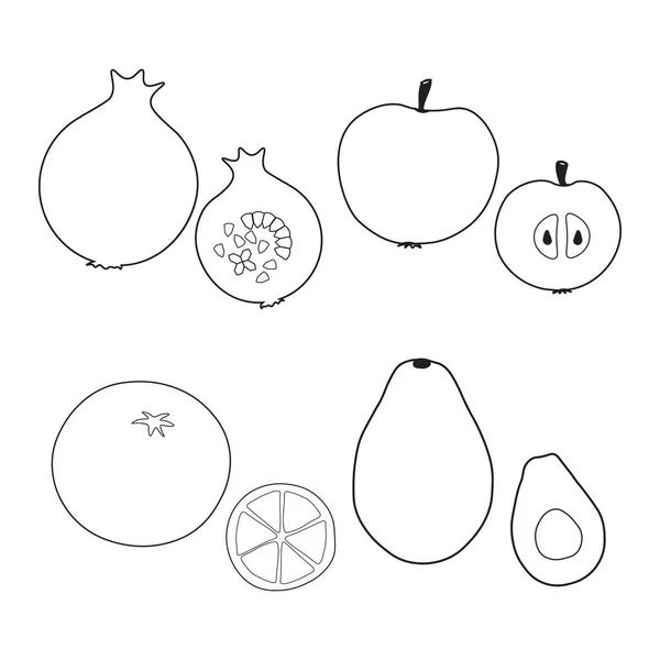 Dibujo Simple Blanco Negro Fruta Madura Con Semillas Para Cojín — Vector de stock