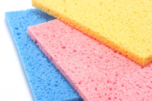 multicolour sünger