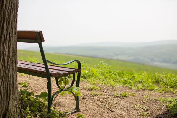 Lonely bench near tree with hills in the front — Stock Photo, Image