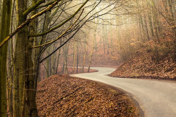 Estrada vazia através da floresta no outono — Fotografia de Stock