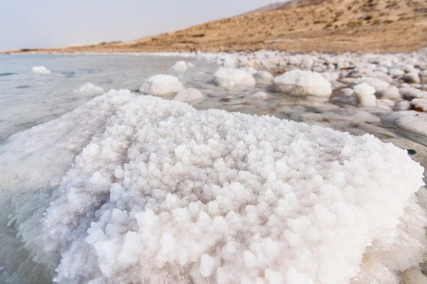 Detail of salt on the Dead Sea shore, Jordan — Stock Photo, Image