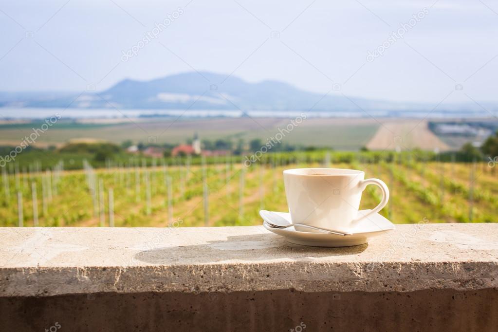 Coffee cup with a vineyard and peaceful landscape