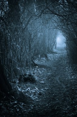 Dark spooky passage through the forest clipart