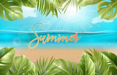 Palmiye yapraklı yaz titreşimleri okyanus manzarası