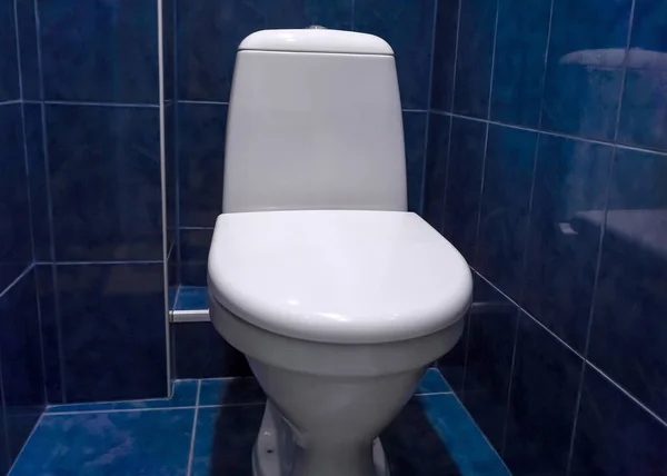 A white toilet bowl complete with a drain tank. He\'s standing in the blue room. The drain hole is covered with a lid.