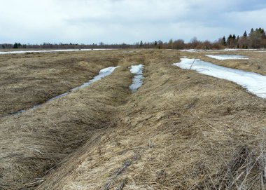 Baharın başlarında büyük bir tarım alanı gösterilir. Kurumuş çimenler yerde yatıyor. Traktör rölelerinde, kar erimedi. Ufukta kara bulutlar ve orman görünüyor..