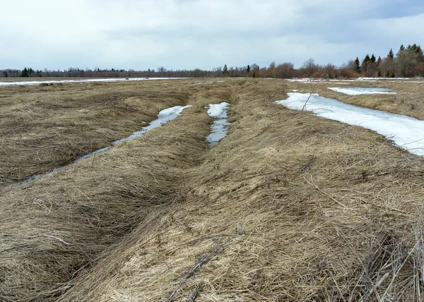 Baharın başlarında büyük bir tarım alanı gösterilir. Kurumuş çimenler yerde yatıyor. Traktör rölelerinde, kar erimedi. Ufukta kara bulutlar ve orman görünüyor..