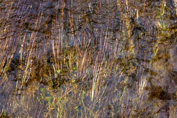 Das Gras Steht Bei Einem Hochwasser Unter Wasser Das Gras — Stockfoto