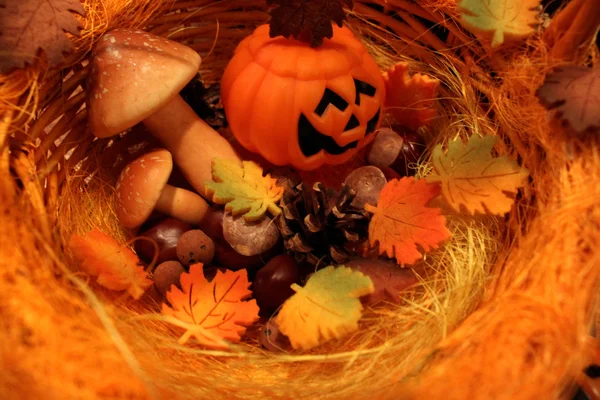 Autumn still life with halloween pumpkins — Stock Photo, Image