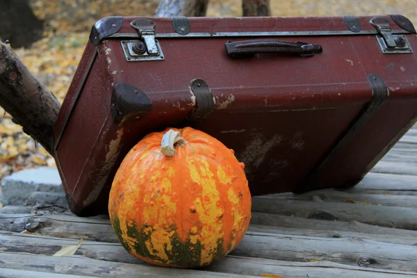 Halloween pumpkin and suitcase — Stock Photo, Image