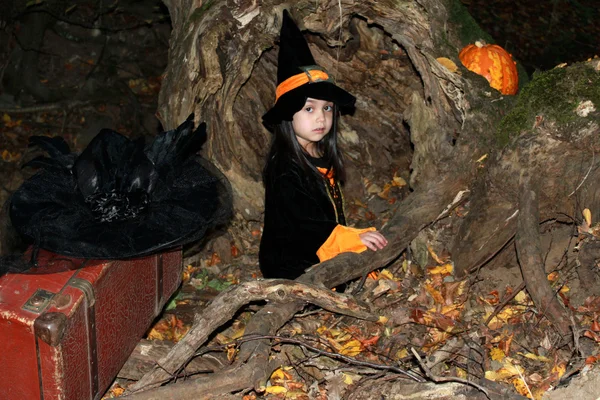 Halloween Tric-or-Treater in her costume witch — Stock Photo, Image