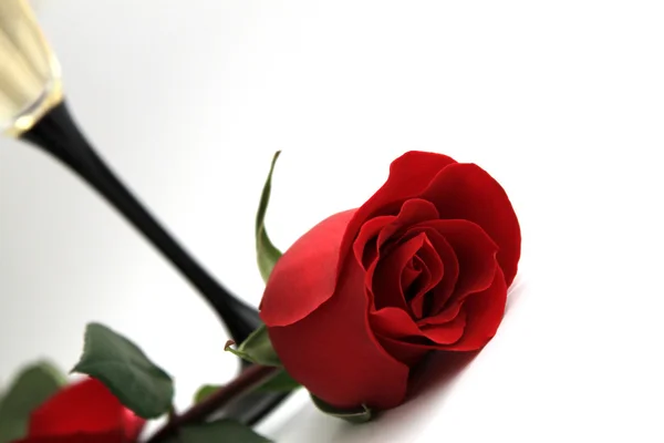 香りの赤いバラと良いワインのガラス — ストック写真