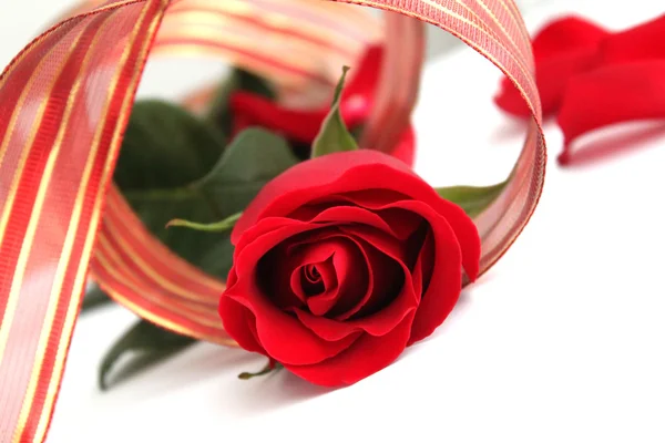 Red rose with red ribbon — Stock Photo, Image