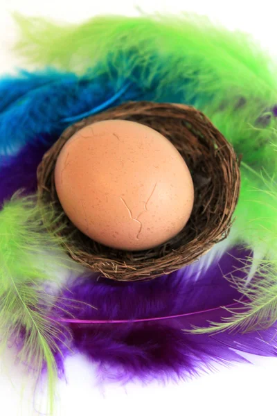 Uovo di Pasqua in cesto pasquale con piuma viola — Foto Stock