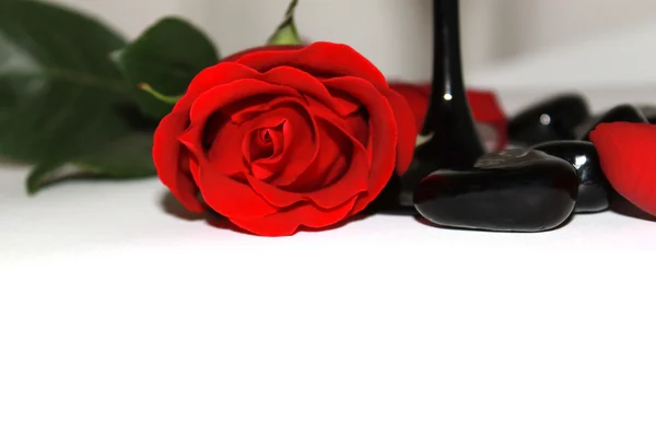 Red rose and glass of wine — Stock Photo, Image