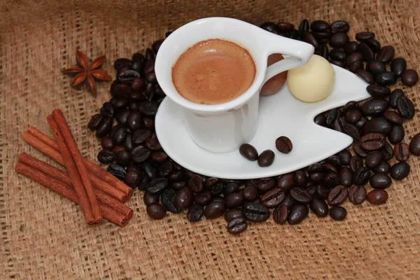 Taza de café, palitos de canela y anís estrellado — Foto de Stock