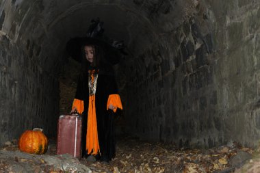 Cadılar Bayramı tric - veya - treater onun kostüm