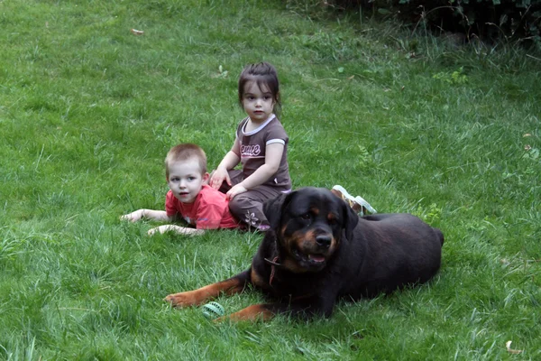 Dwa małe dzieci bawiące się z psem — Zdjęcie stockowe