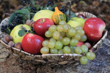 Herfst Stilleven met verschillende vruchten en kastanjes
