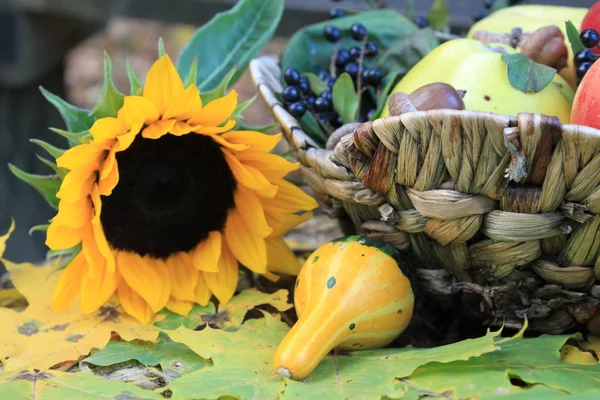 Still life in colours of autumn — Stock Photo, Image