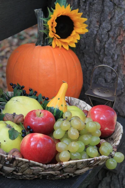 Autumnal harvest fruits with vintage basket and sunflower — Stock Photo, Image