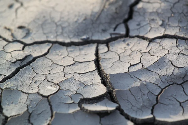 Cracked earth background — Stock Photo, Image