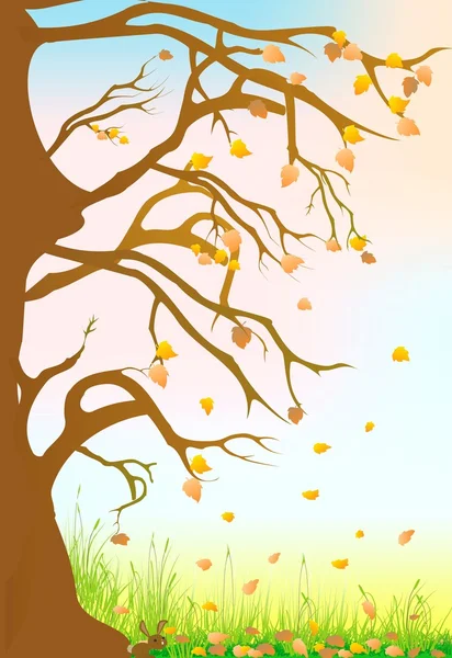 Autumn — Stock Vector