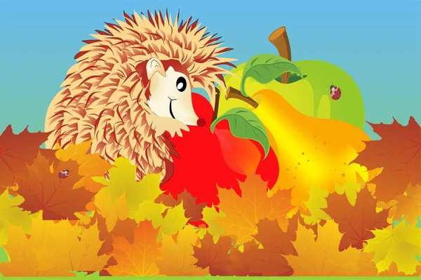 Hedgehog autumn — Stock Vector