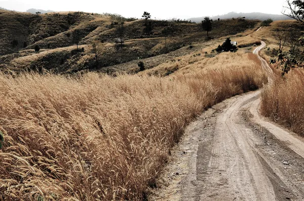 ほこりっぽい田舎道トラフ乾いた草で禿げた丘 — ストック写真