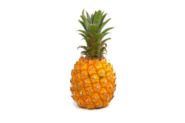 Ananas Hedelmät Eristetty Valkoisella Pohjalla — kuvapankkivalokuva