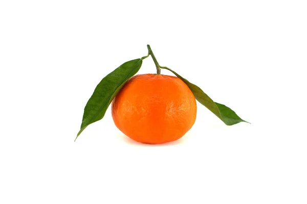 Clementinen Mandarinen Oder Mandarinenfrüchte Mit Grünen Blättern Auf Weißem Hintergrund — Stockfoto