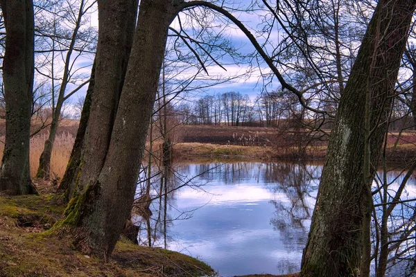 Tranquil Lake Reflections Surrounding Trees Clouds Evening Light Winter Conceptual — Stock Photo, Image