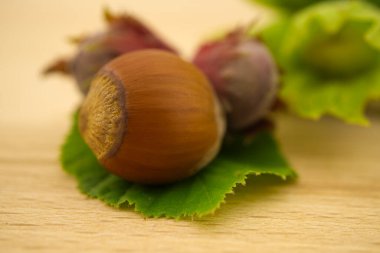Taze, kabuksuz, yeşil kabuklu fındık, seçici bir odak noktasında, kopya alanı olan ahşap bir masada.
