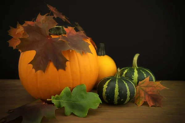 Automne Automne Nature Morte Avec Citrouille Orange Colorée Courge Décorée — Photo