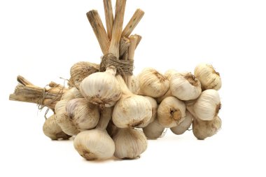 Örülmüş sarımsak soğanları jüt halatla bağlanmış beyaz arka planda saklanmaya hazır.