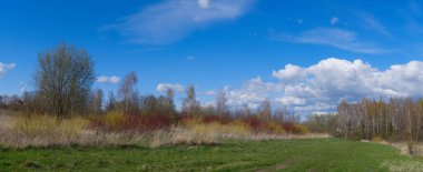 Ağaçlarla çevrili yemyeşil çimen tarlası ve bulutlu mavi gökyüzünün altındaki renkli çalılar, panorama afişindeki mevsimsel manzaralar.