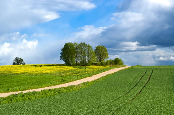 曇りの青空の下で春の風景の中に畑や牧草地を通って国の砂利道 — ストック写真