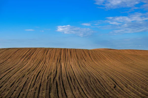 Gepflügtes Feld Unter Wolkenlosem Blauem Himmel Einer Landwirtschaftlichen Landschaft — Stockfoto