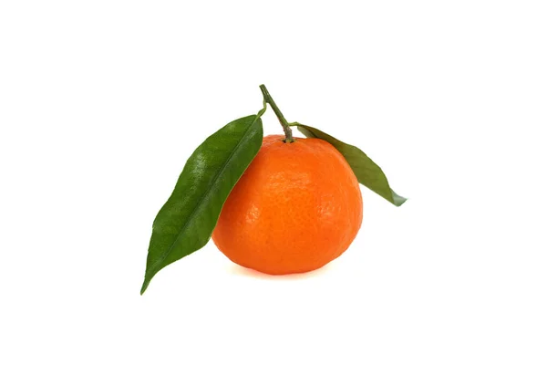 Clementine Mandarine Oder Mandarine Orange Früchte Mit Grünen Blättern Isoliert — Stockfoto