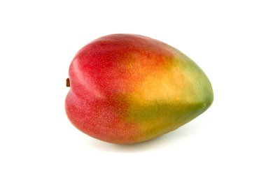 Ripe multicolored mango fruit isolated on a white background