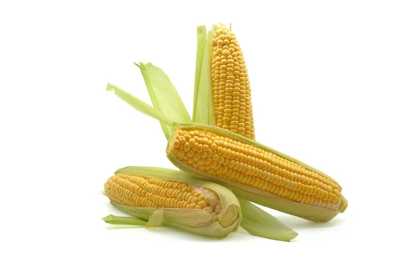 Fresh Corn Cob White Background — Stock Photo, Image