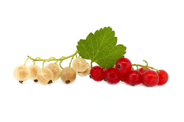 Fresh Ripe White Currant Redcurrant Berries Leaf Isolated White Background — 스톡 사진