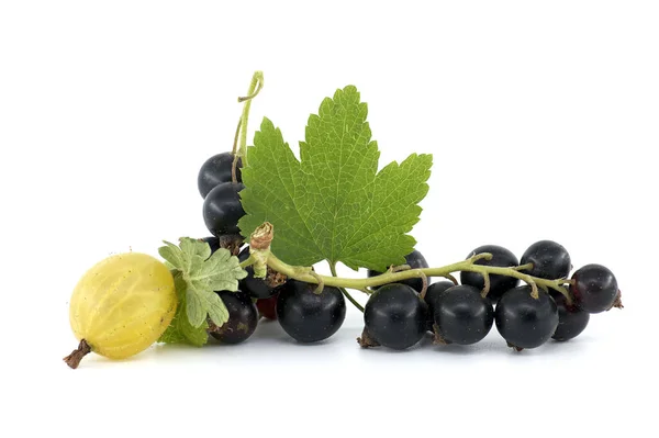 Fresh Ripe Blackcurrant Berries Leaf Gooseberry Isolated White Background — Foto Stock