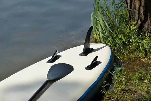 SUP paddle board and paddle on the shore of the lake in the shadow of the trees, outdoor sporting activity